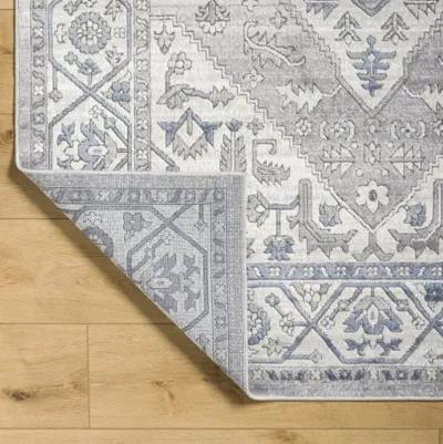 Alamo ALO-2318 7'10" x 10' Machine Woven Rug