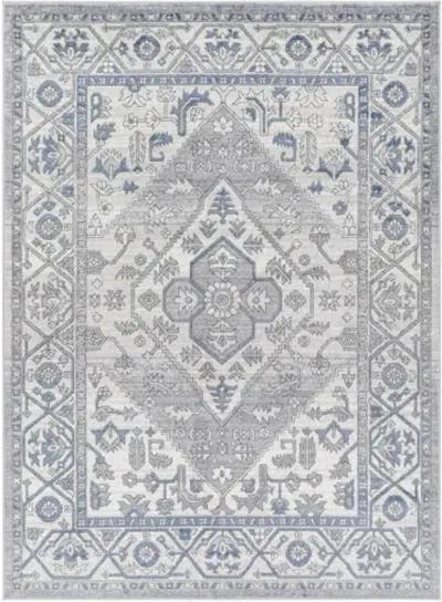 Alamo ALO-2318 7'10" x 10' Machine Woven Rug