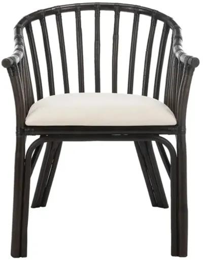 GINO ARM CHAIR