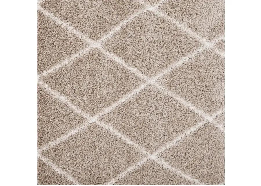 Toryn Diamond Lattice 5x8 Shag Area Rug