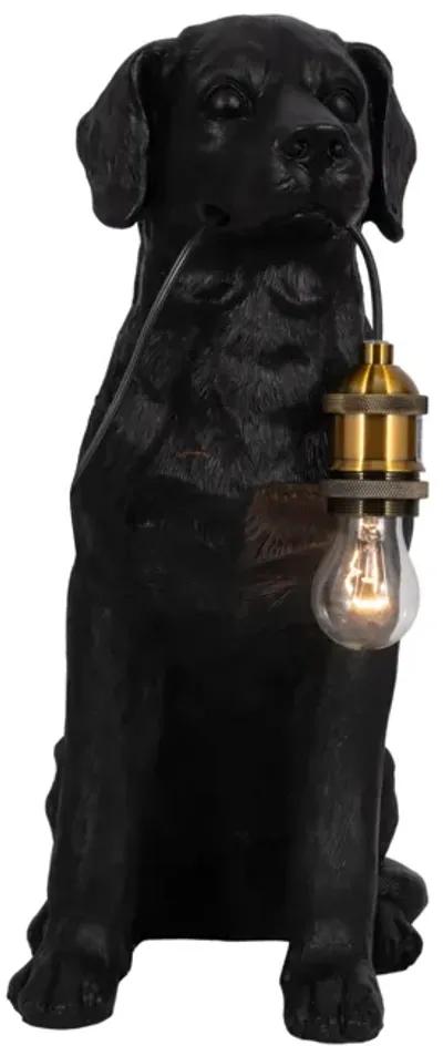 18" Dog Holding Lightbulb Table Lamp, Black/gold