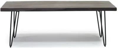 Natures Edge Coffee Table in Chestnut/Black