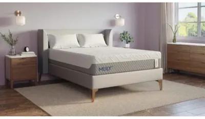 Mlily 12 Inch Wellflex 1.0 Firm Mattress, CA King