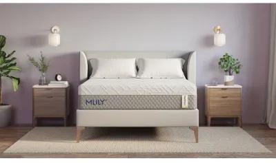 Mlily 12 Inch Wellflex 2.0 Medium Mattress, CA King