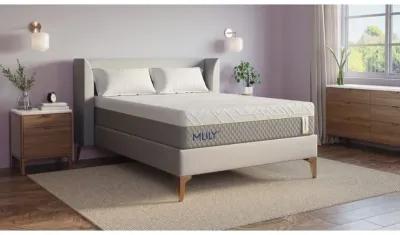 Mlily 12 Inch Wellflex 2.0 Medium Mattress, CA King