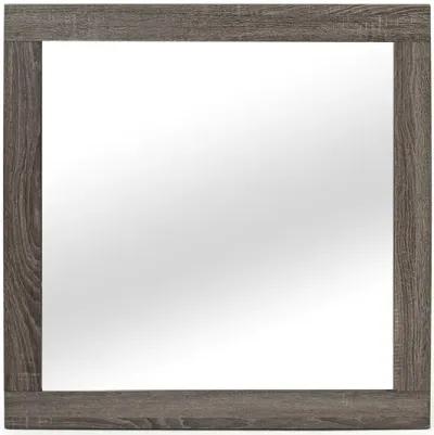 Naialyn Mirror in Gray