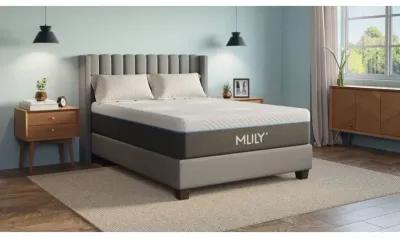 Mlily 12.5 Inch Fusion Luxe Plush Hybrid Mattress, Full