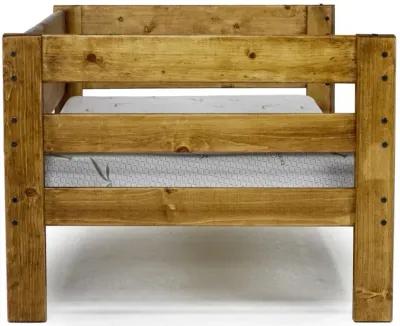 Young Pioneer Daybed in Natural, Twin