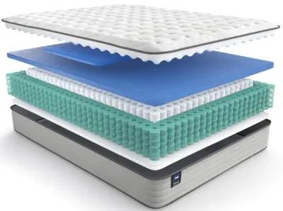 Sealy 12 Inch Spring Bloom Medium Mattress, Full