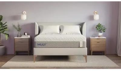 Mlily 12 Inch Wellflex 1.0 Firm Mattress, Full