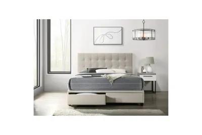 Pasadena Upholstered Bed w/ Storage in White, Queen