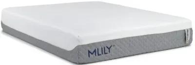 Mlily 12 Inch Wellflex 2.0 Medium Mattress, Queen