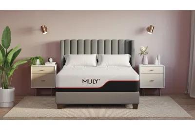 Mlily 12 Inch Matrix Dream Mattress, Queen