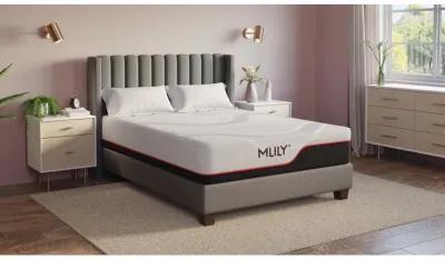 Mlily 12 Inch Matrix Dream Mattress, Queen