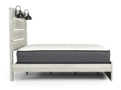 Dallas Panel Bed w/ Lights in Whtie Wash, Queen