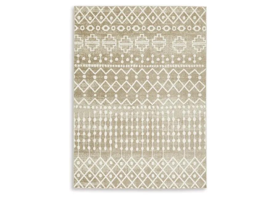 Bunchly 5' X 7' Rug