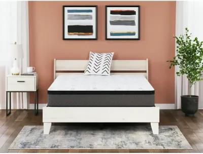 12 Inch Pocketed Hybrid Queen Mattress