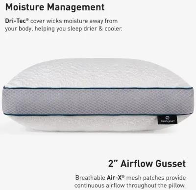 Linea 1.0 Pillow