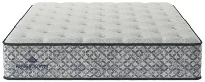 Nuovo Plush 11.5" Mattress