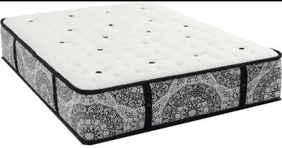 Hill Lane Plush 14.5" Mattress