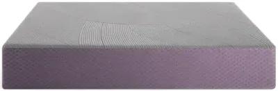 Purple Restore Premier Mattress (Soft) 13"