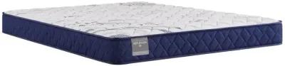 Reflexion Oconee Foam Mattress