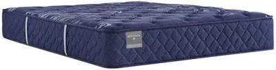 Reflexion Annapolis Medium Tight Top Mattress