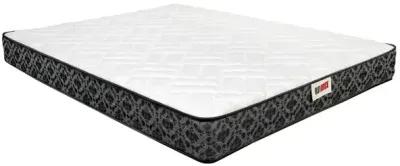 Willard Tight Top 9.5" Mattress