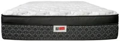 Jiminy Plush Euro Top 14" Mattress