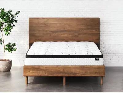 Chime 12 Inch Hybrid Queen Mattress in a Box