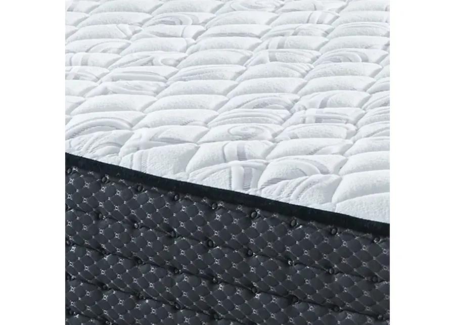 Limited Edition Firm Queen Mattress