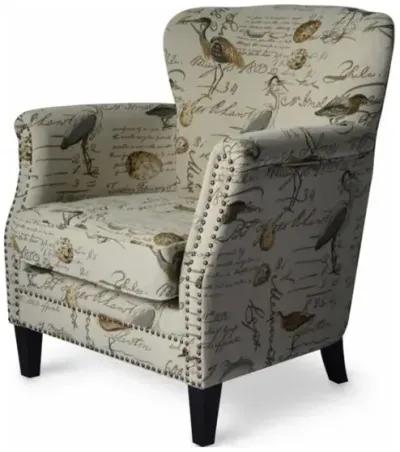 Phoebe Accent Chair