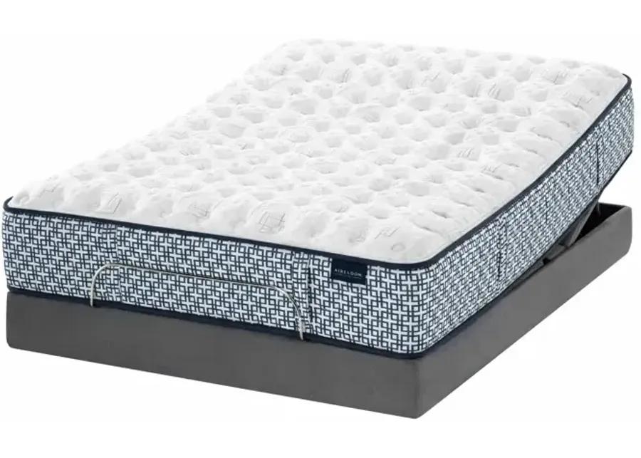 Armata Tight Top Extra Firm 11" Mattress