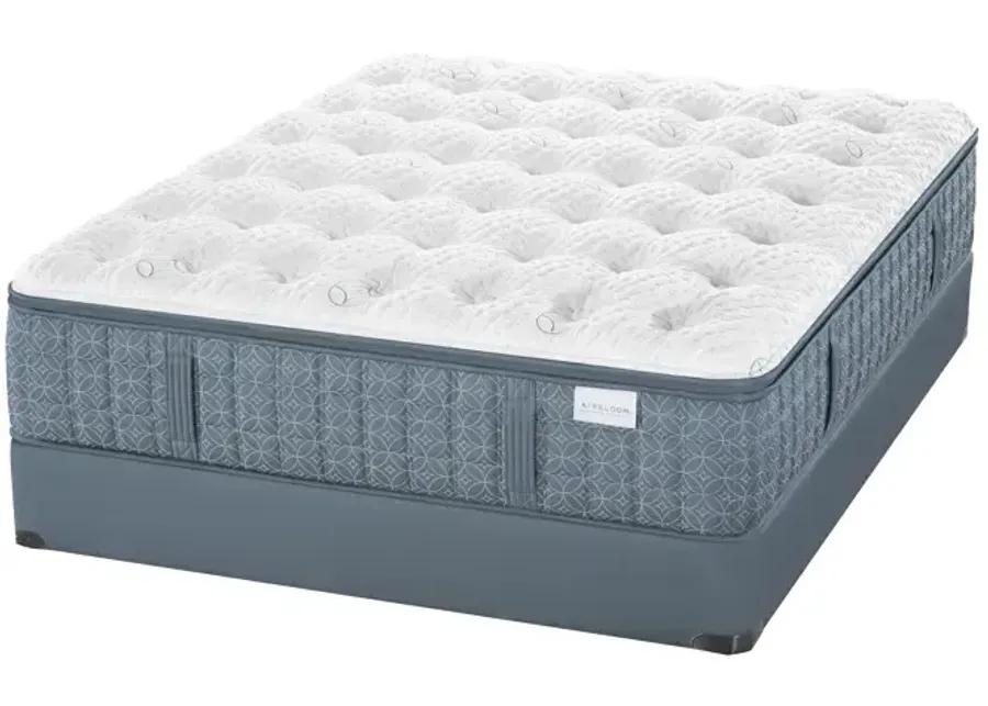 Streamline Luxetop M1 Firm 10" Mattress