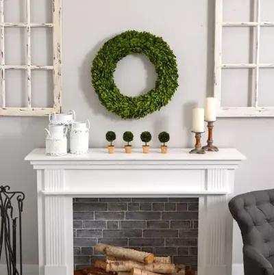 24" Preserved Boxwood Wreath - Green