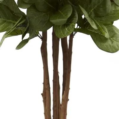 72" Fiddle Leaf Fig Tree - Green