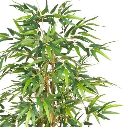 64" Bamboo Silk Tree - Green