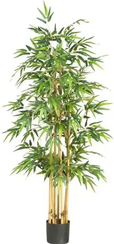 64" Bamboo Silk Tree - Green