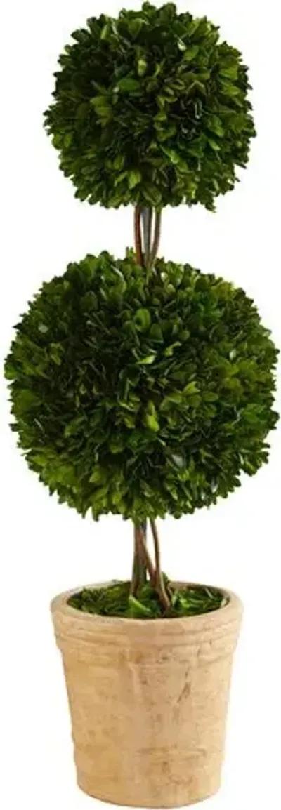 30" Faux Boxwood Tree - Green