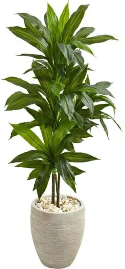 48" Faux Dracaena Plant - Green