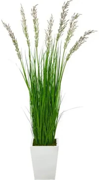 64" Faux Wheat/Grass Plant - Green