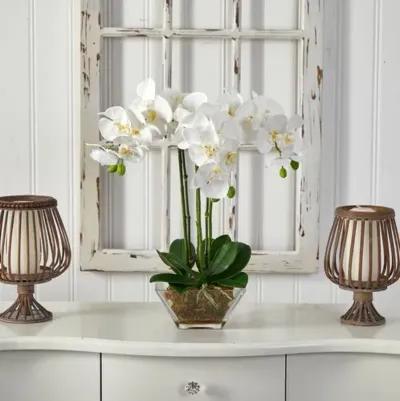 22" Faux Orchid Flower Arrangement - White