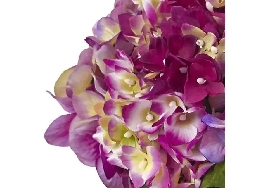 Hydrangea with Large Vase - Purple