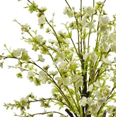 Cherry Blossom in Glass Vase - Yellow