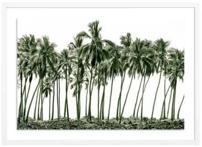 Green Palms - Hawaii by Carly Tabak - White