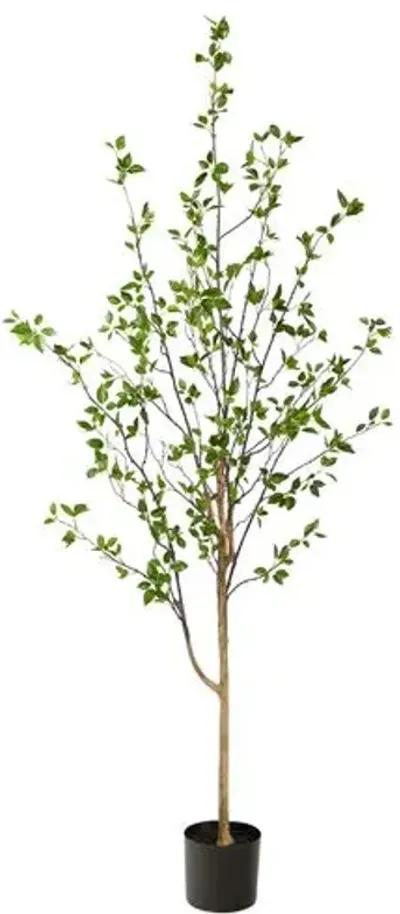 Faux Citrus Tree 6.5' - Green