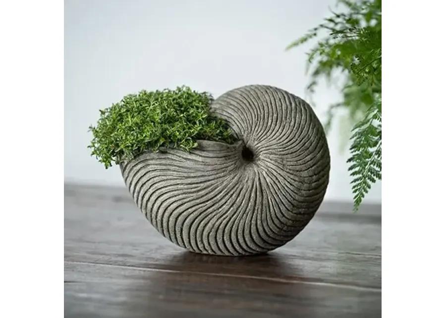 6" Ammonite Planter - Alpine Stone - Campania International - Gray - 6hx7.5lx5w