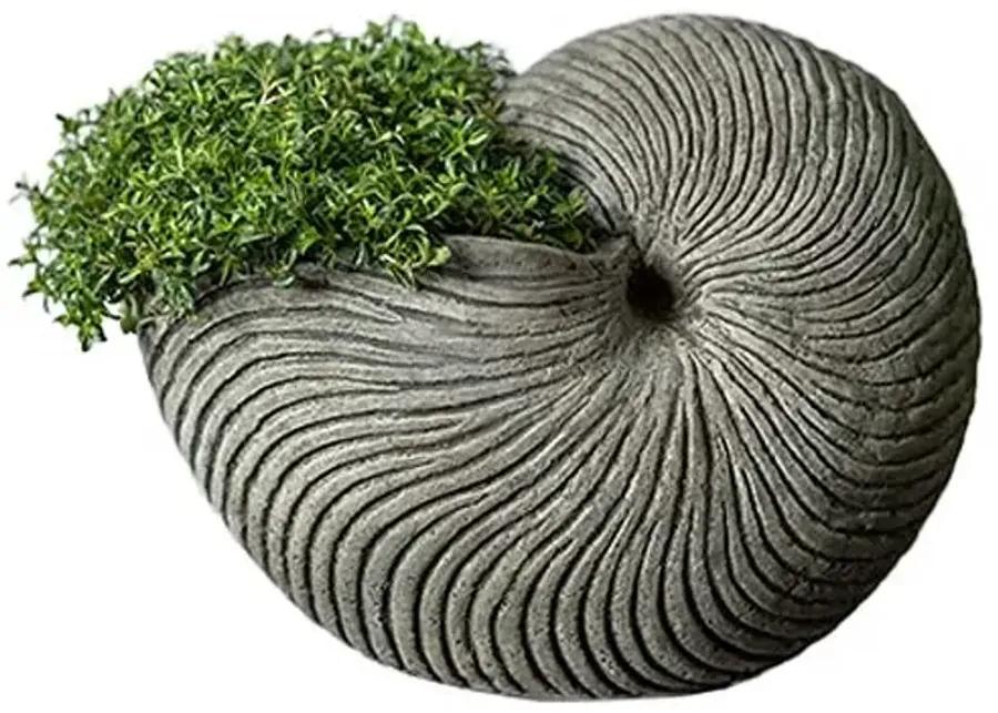 6" Ammonite Planter - Alpine Stone - Campania International - Gray - 6hx7.5lx5w