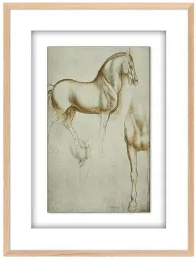 Horse Sketch by Getty POD - White