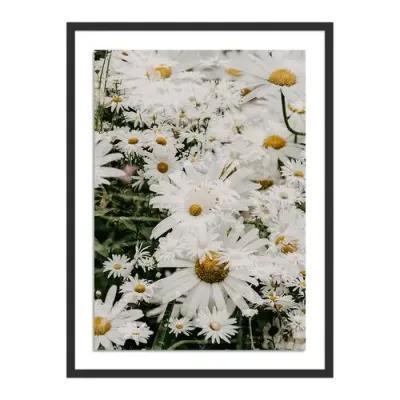 Annie Spratt - Echinacea - Black